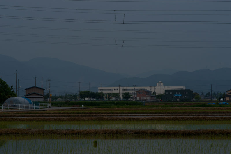 b0177233_56518.jpg