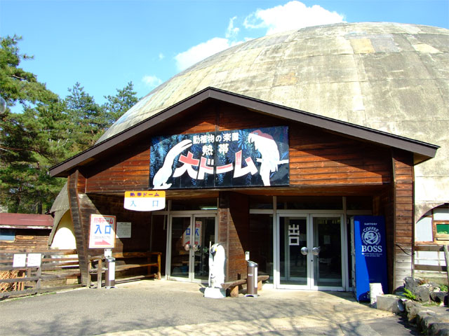 隠れキャラ登場_a0179837_8511797.jpg