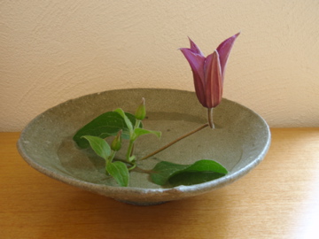 長谷川奈津陶展のご案内 花器_b0132442_16572552.jpg