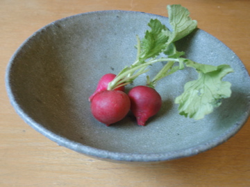 長谷川奈津陶展のご案内 花器_b0132442_1658238.jpg