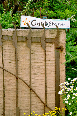 b0195242_07113.jpg