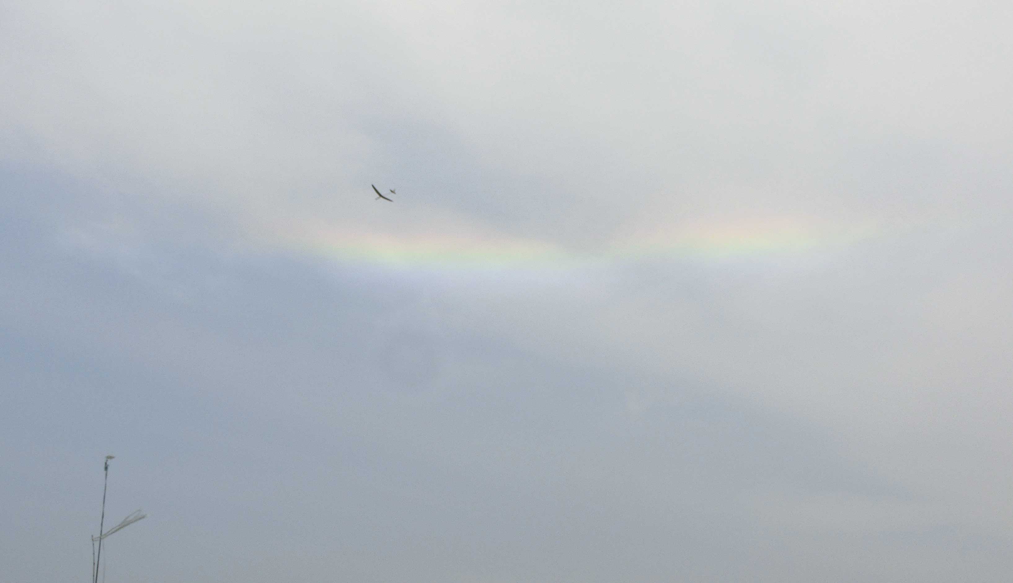 一面の曇り空に虹の帯 : 超小型飛行体研究所ブログ