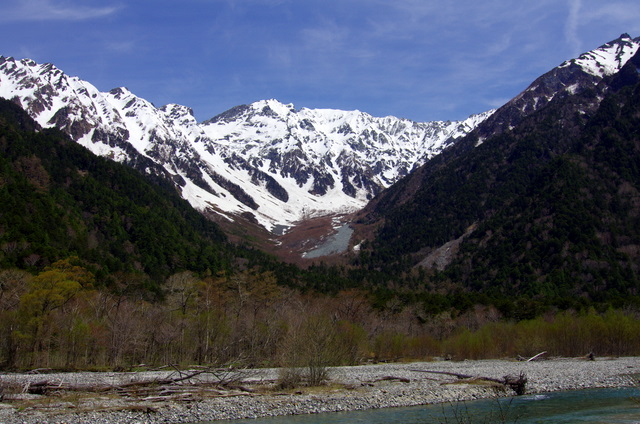 d0186245_1710855.jpg