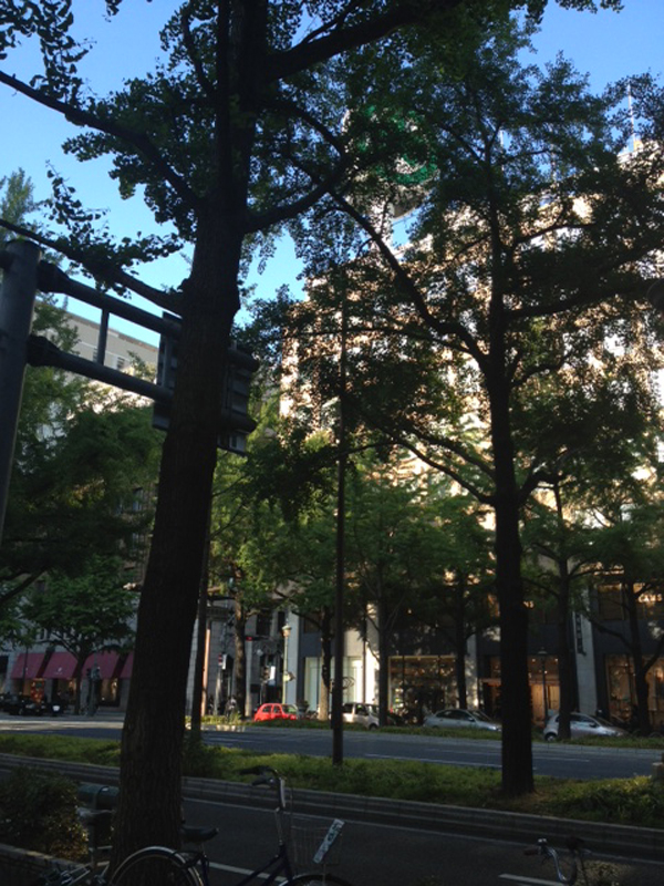e0002951_23243678.jpg