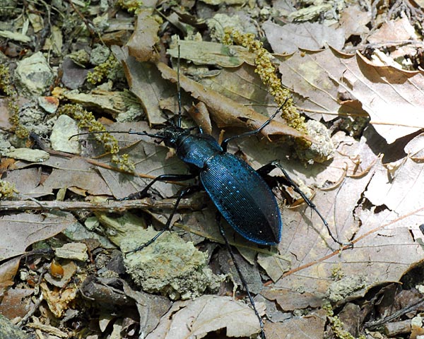 e0035757_23484228.jpg