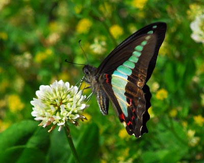 e0035757_23511378.jpg