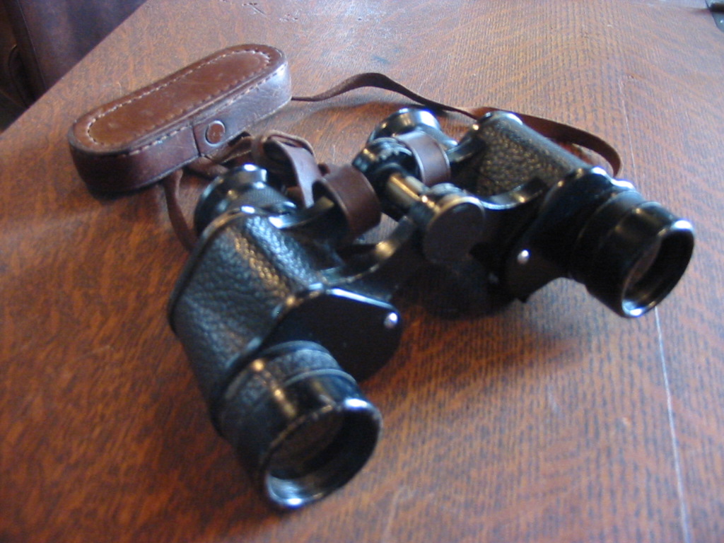 d0195861_1644992.jpg