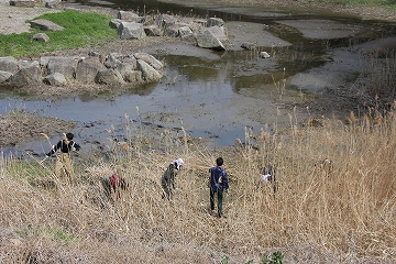 ★ひがた・たんぼ倶楽部の報告(2012年4月)_e0046474_1551260.jpg