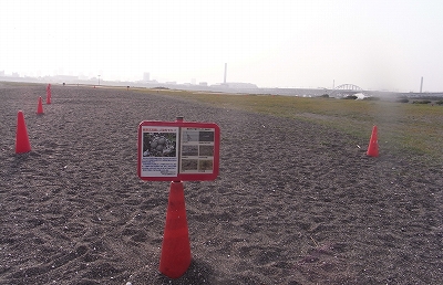 e0046474_16323811.jpg