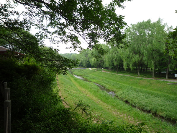 e0232277_1041288.jpg