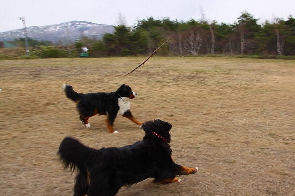c0149178_1658538.jpg