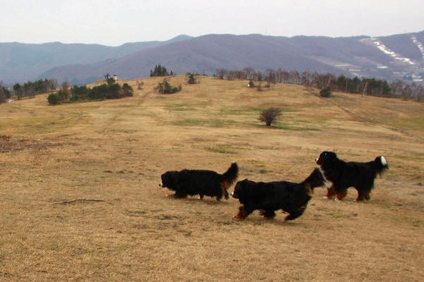 c0149178_1658576.jpg