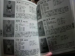 大相撲力士名鑑_f0228680_10491296.jpg