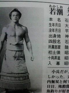 大相撲力士名鑑_f0228680_1175271.jpg