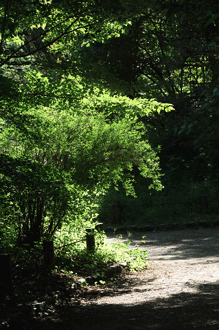 a0275782_2125944.gif