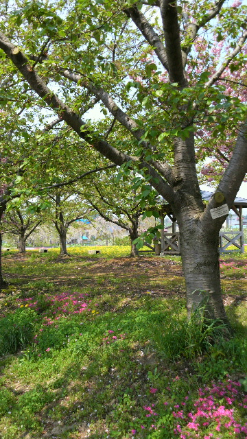 d0229487_759244.jpg