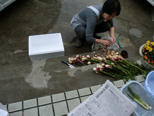 食料をを求めて！_f0117892_1564292.jpg