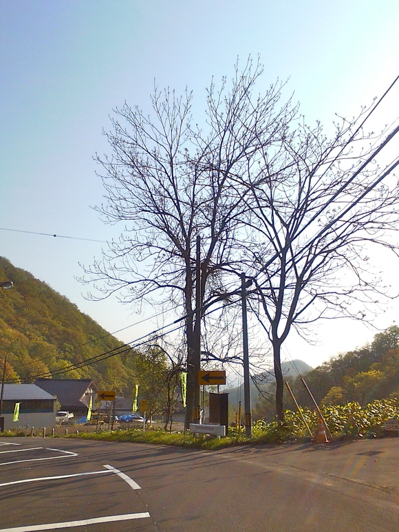 b0199097_6573363.jpg