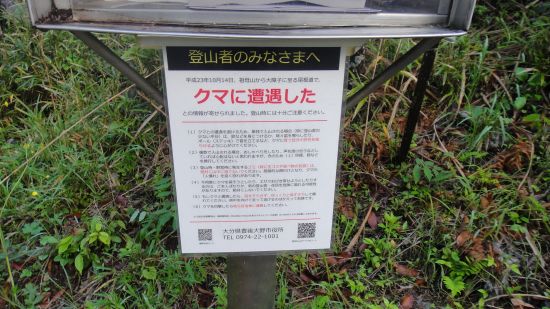 f0036700_9223991.jpg
