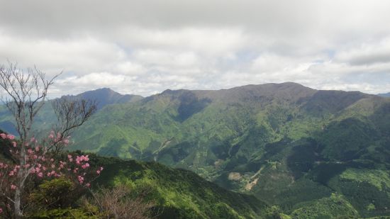 f0036700_924846.jpg