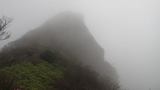 f0036700_9251664.jpg