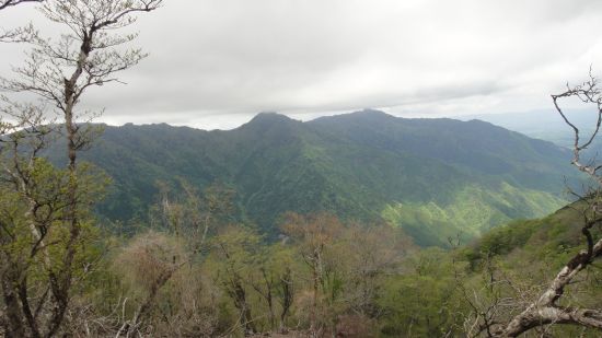 f0036700_926501.jpg