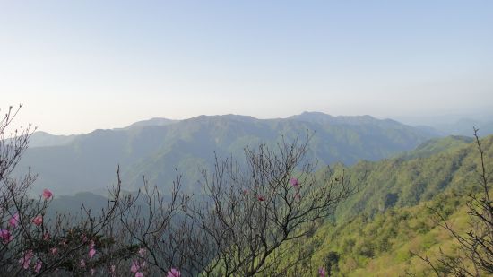 f0036700_928765.jpg