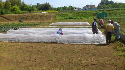 e0270403_23535934.jpg
