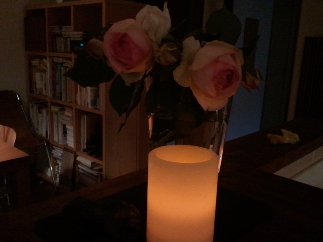 夜の薔薇_f0218407_7343277.jpg