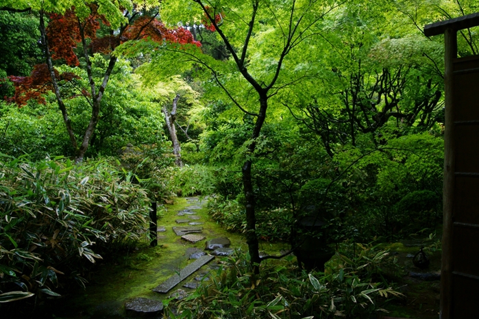 大徳寺塔頭　高桐院　中_e0177413_20483821.jpg