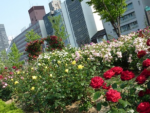 a0177314_1191576.jpg
