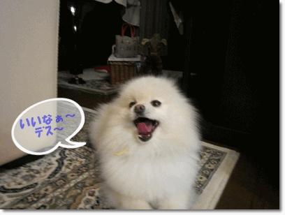 b0167519_21252825.gif