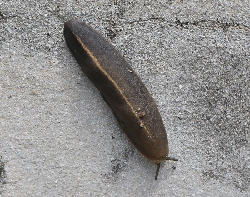 f0181821_1004827.jpg