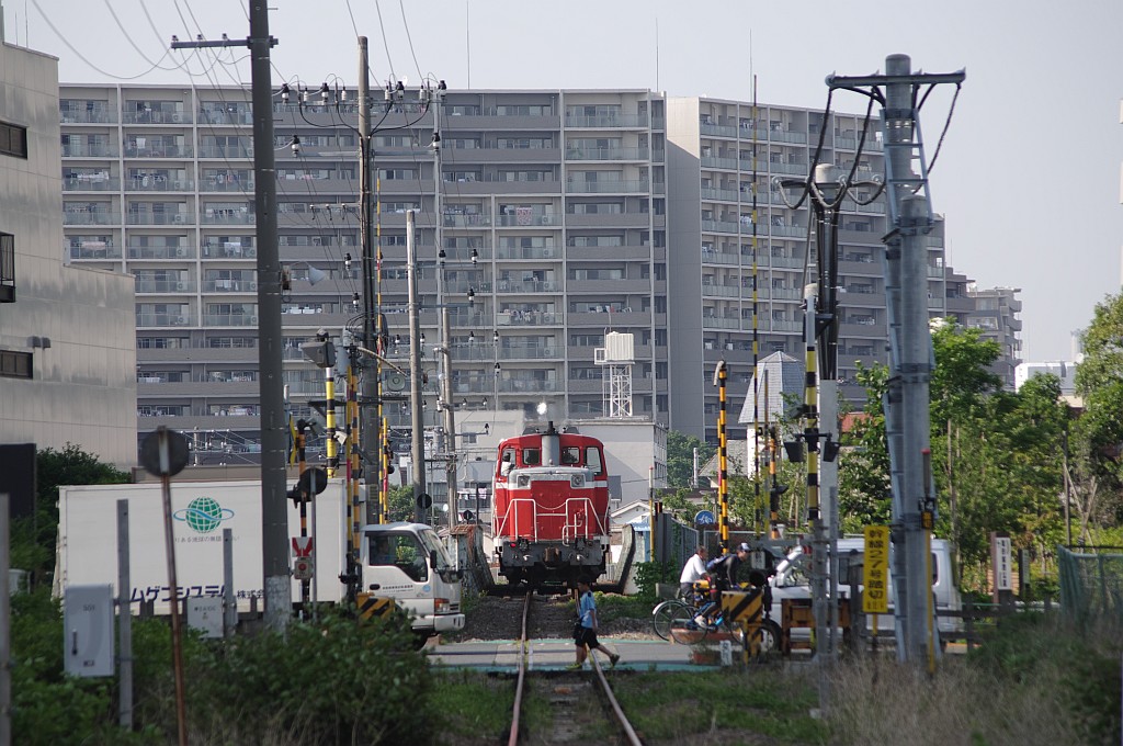 今日の越中島(5/19)_f0203926_23105321.jpg