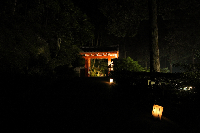 三室戸寺・紫陽花ライトアップ（後編）_b0169330_23353294.jpg