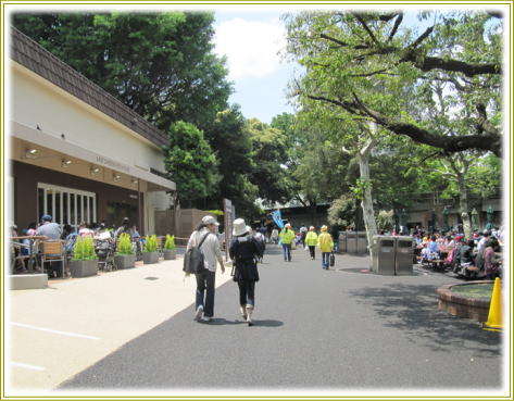 上野動物園_f0040041_1633323.jpg