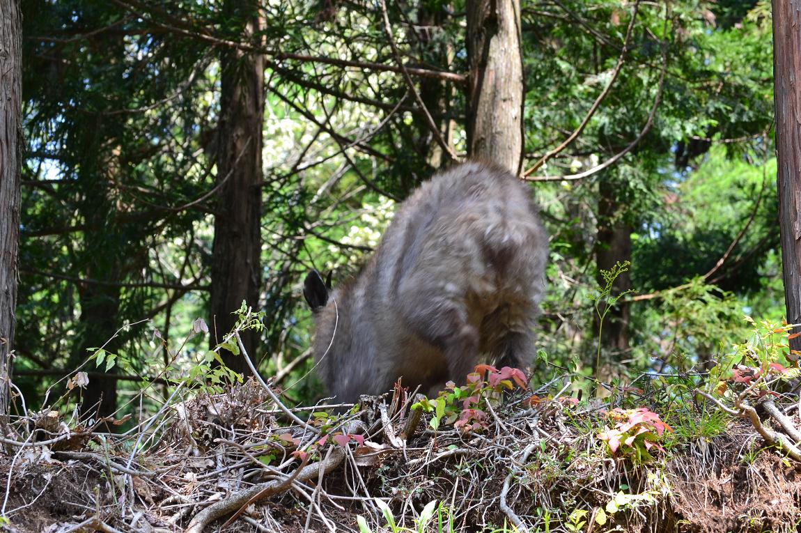 遭遇。_a0055650_2103361.jpg