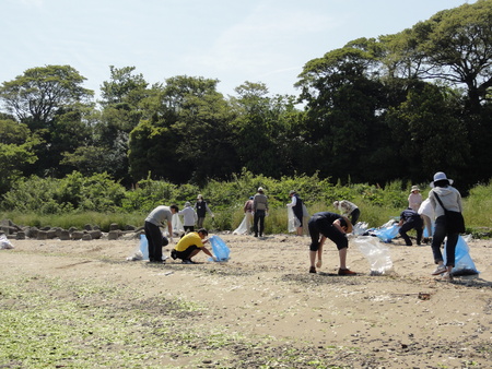 「箱作自然海岸清掃」・・・主催「自然と本の会」_c0108460_21583050.jpg