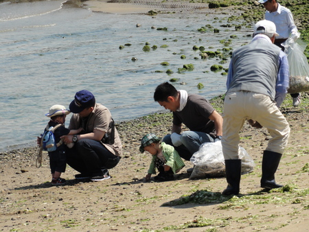 「箱作自然海岸清掃」・・・主催「自然と本の会」_c0108460_220125.jpg