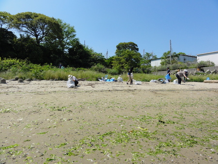 「箱作自然海岸清掃」・・・主催「自然と本の会」_c0108460_221323.jpg