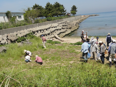 「箱作自然海岸清掃」・・・主催「自然と本の会」_c0108460_225079.jpg