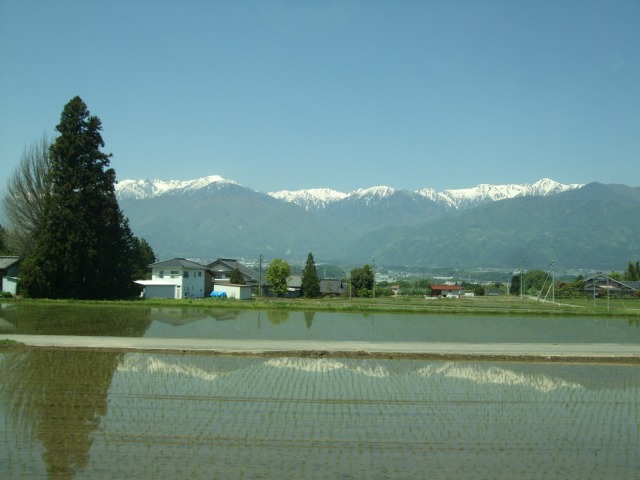 b0117564_14433816.jpg
