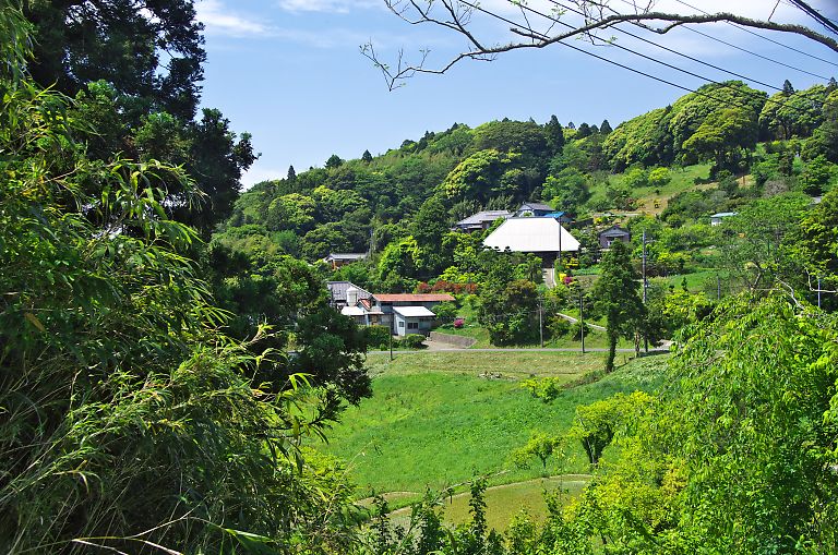 鴨川　大山千枚田（２）(５月１６日）_c0057265_3203783.jpg