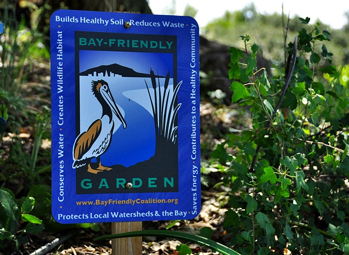 Bay-Friendly Garden_a0126969_6195684.jpg