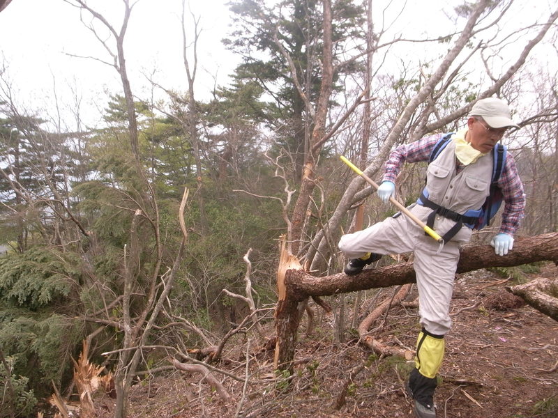 5月10日　笠丸山ハイキング　開催しました。が・・・_b0209774_0523561.jpg