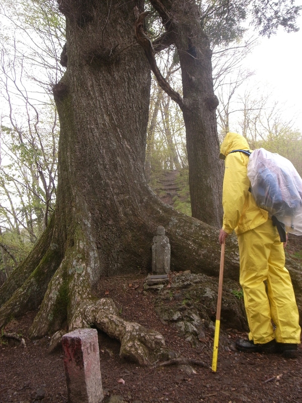 5月10日　笠丸山ハイキング　開催しました。が・・・_b0209774_1111480.jpg
