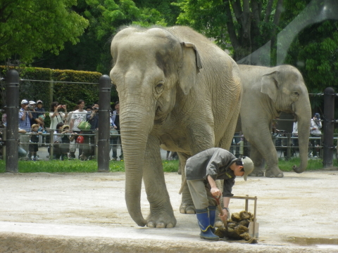 ～上野動物園～_a0113875_22182292.jpg