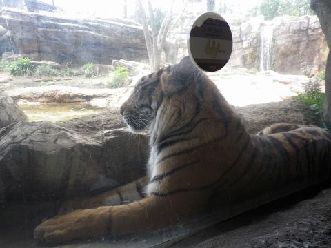 ～上野動物園～_a0113875_22235919.jpg