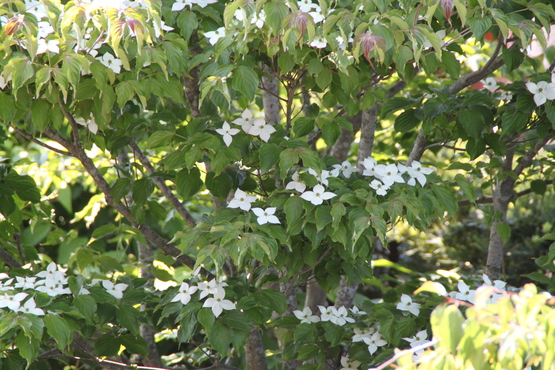 b0224178_955979.jpg