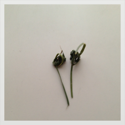 d0236780_1952566.png